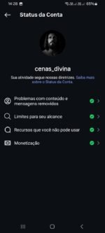 Instagram 10K Seguidores 🇧🇷 | subindo 300/500 seguidores por dia - Imagem 2