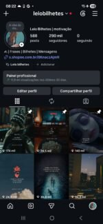 Baixou valor perfil crescendo Instagram impecável 290k totalmente orgânicos engajados