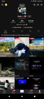 Vendo conta do tiktok, mais de 17k de curtidas, perfil vira lizado - Imagem 3