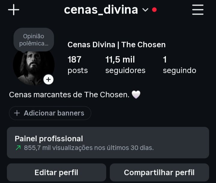 Screenshot_20260712_191438_Instagram INSTAGRAM 11,5K SEGUIDORES 🇧🇷 Engajamento alto! - Imagem 1