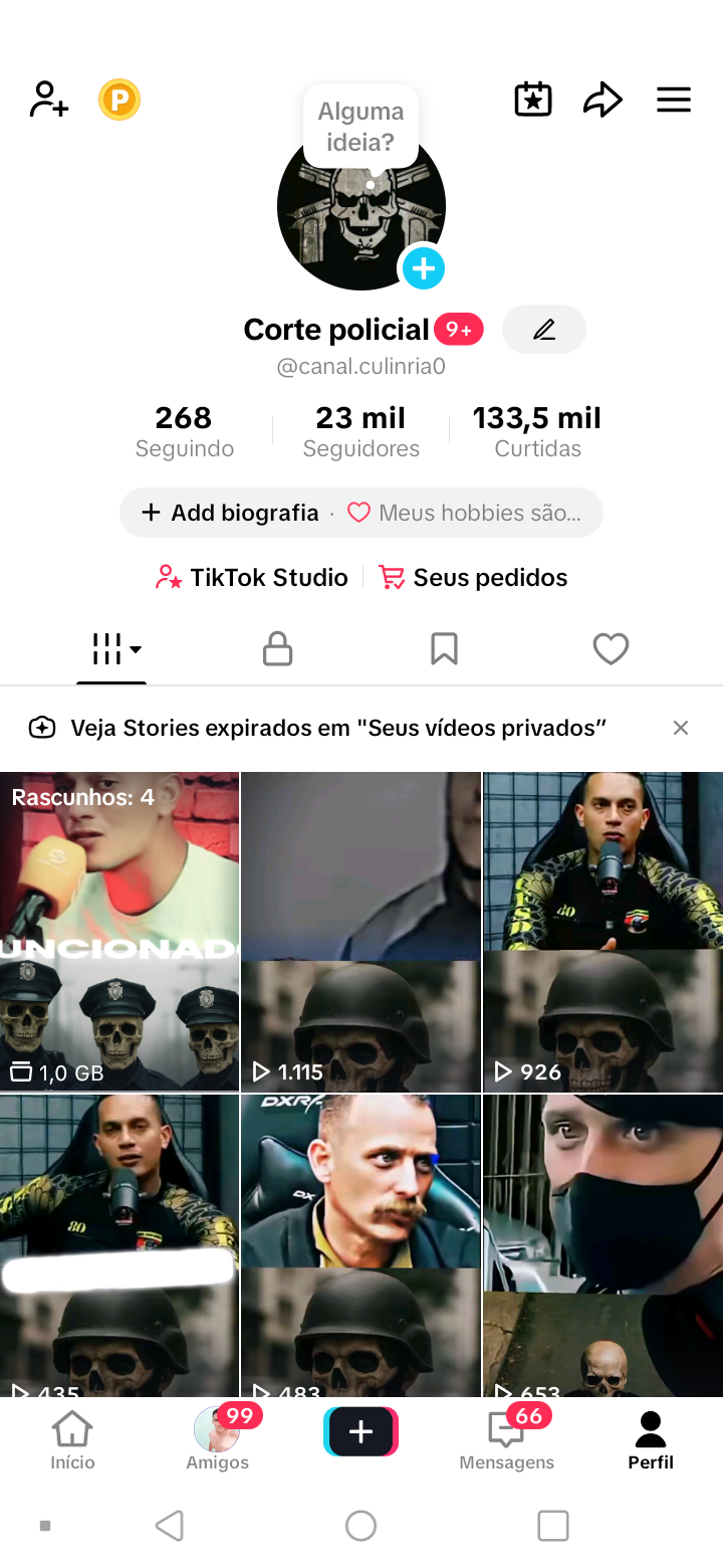 Screenshot_20260713-193654 Corte policial - Imagem 1