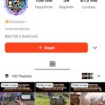 PROMOÇÃO - Kwai 108k de seguidores