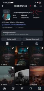 Instagram impecável 296k totalmente orgânicos engajados