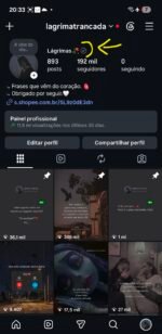 Instagram incrível 192k totalmente orgânicos engajados