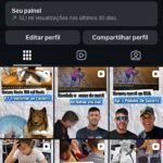 Conta com 12 seguidores brasileiros