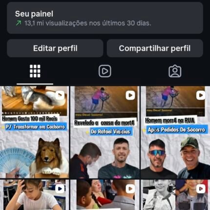 Conta com 12 seguidores brasileiros