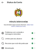 🔴 INSTAGRAM 39K | TV & Novelas 💥 ALTO ENGAJAMENTO! 💥 - Imagem 3