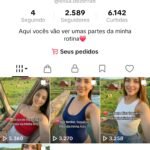 🔥Conta TikTok Shop ativa | Pronta para faturar🚀