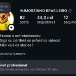 CONTA DO INSTAGRAM ORGÂNICO (crescendo) (44.3 mil seguidores & 5.6 MILHÕES de views em 30D)