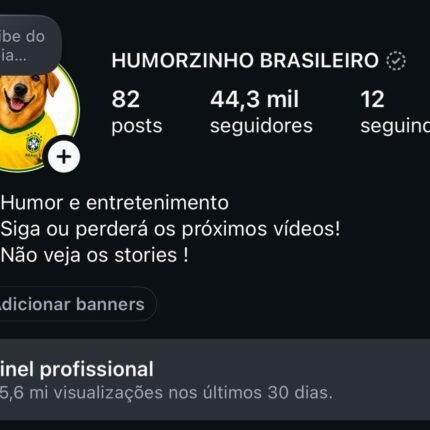 CONTA DO INSTAGRAM ORGÂNICO (crescendo) (44.3 mil seguidores & 5.6 MILHÕES de views em 30D)