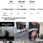 conta do tik tok 55k seguidores monetizada