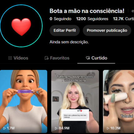 TIKTOK 1200 Seguidores 🛍️