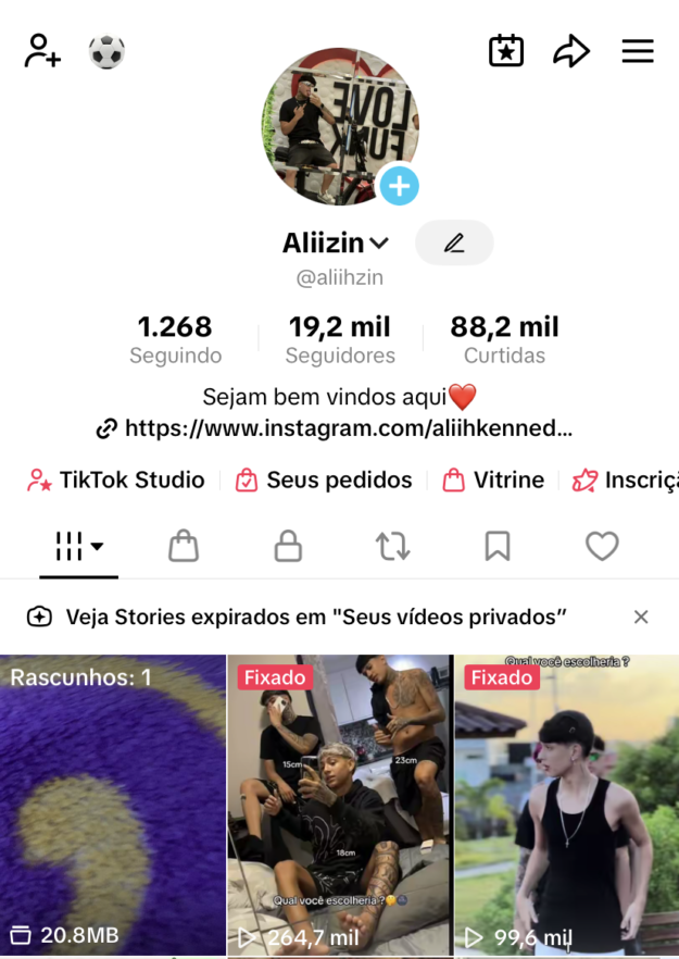 cropped-IMG_1819.png Tiktok 19K de seguidores - Imagem 1