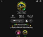 Conta TikTok 17k