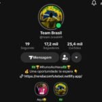 Conta TikTok 17k