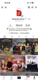 CONTA TIKTOK MUITO ENGAJADA