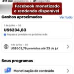 Pagina Facebook monetizada e rendendo