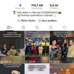 CONTA TIKTOK 113k