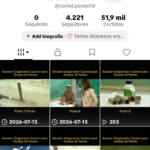TikTok com 4.2k, 51k de curtidas, conteúdo com alta taxa de visualização