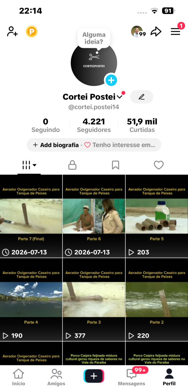 cropped-IMG_7686.png TikTok com 4.2k, 51k de curtidas, conteúdo com alta taxa de visualização - Imagem 1