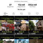 CONTA TIKTOK | 17.6k SEG👥 | 355K CURT❤️ | REPORTAGENS 📰 | PRONTO P/ MONETIZAR | SUPER ENGAJADA 🚀