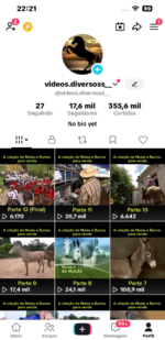 CONTA TIKTOK | 17.6k SEG👥 | 355K CURT❤️ | REPORTAGENS 📰 | PRONTO P/ MONETIZAR | SUPER ENGAJADA 🚀