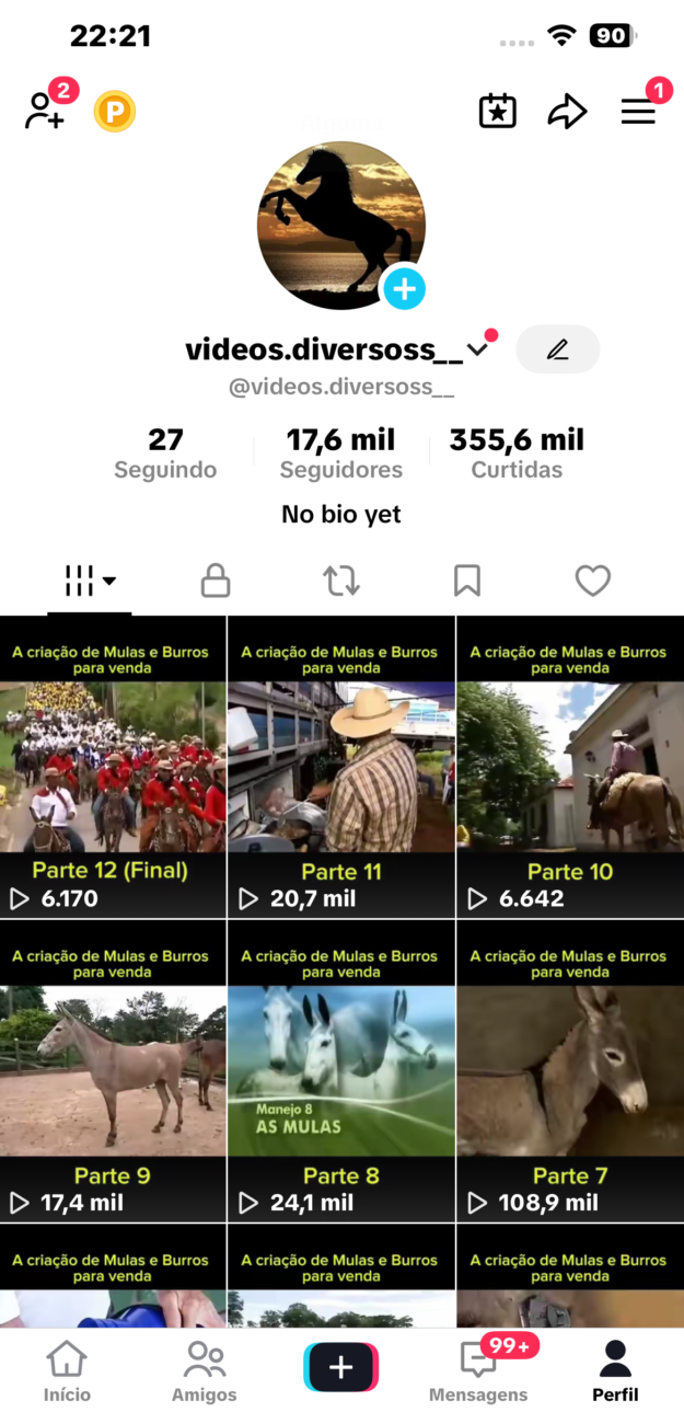 cropped-IMG_7688.png CONTA TIKTOK | 17.6k SEG👥 | 355K CURT❤️ | REPORTAGENS 📰 | PRONTO P/ MONETIZAR | SUPER ENGAJADA 🚀 - Imagem 1