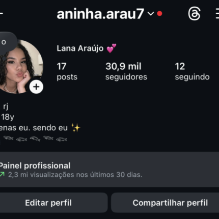 Conta instagram 30k Seguidores - Feminino