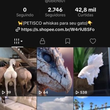 Conta boa nova