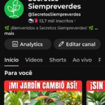 Canal YouTube quase 14k inscritos Promoção Relâmpago