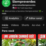👑 CANAL COM +13K INSCRITOS À VENDA — OPORTUNIDADE 🔥