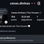 Instagram 12,8K Seguidores Orgânicos 🇧🇷