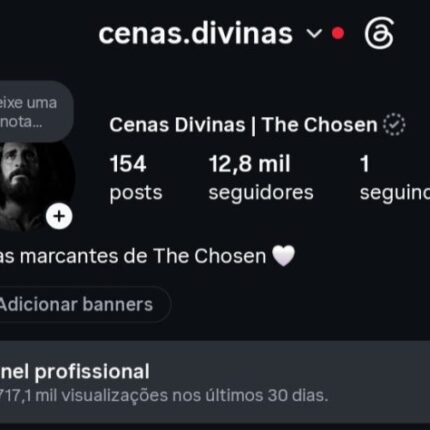 Instagram 12,8K Seguidores Orgânicos 🇧🇷