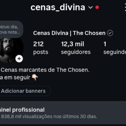 INSTAGRAM 12,3MIL SEGUIDORES *Orgânicos 🇧🇷
