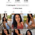 Conta 2500+ Seguidores Tiktok Shop Ativo