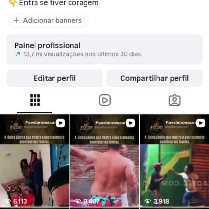 CONTA DO INSTAGRAM ORGÂNICO (crescendo) (33.5 mil seguidores & 13.7 MILHÕES de views em 30D)