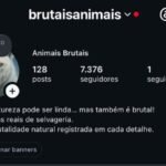 Instagram de 7k