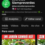 👑 CANAL COM +13K INSCRITOS À VENDA — OPORTUNIDADE 🔥