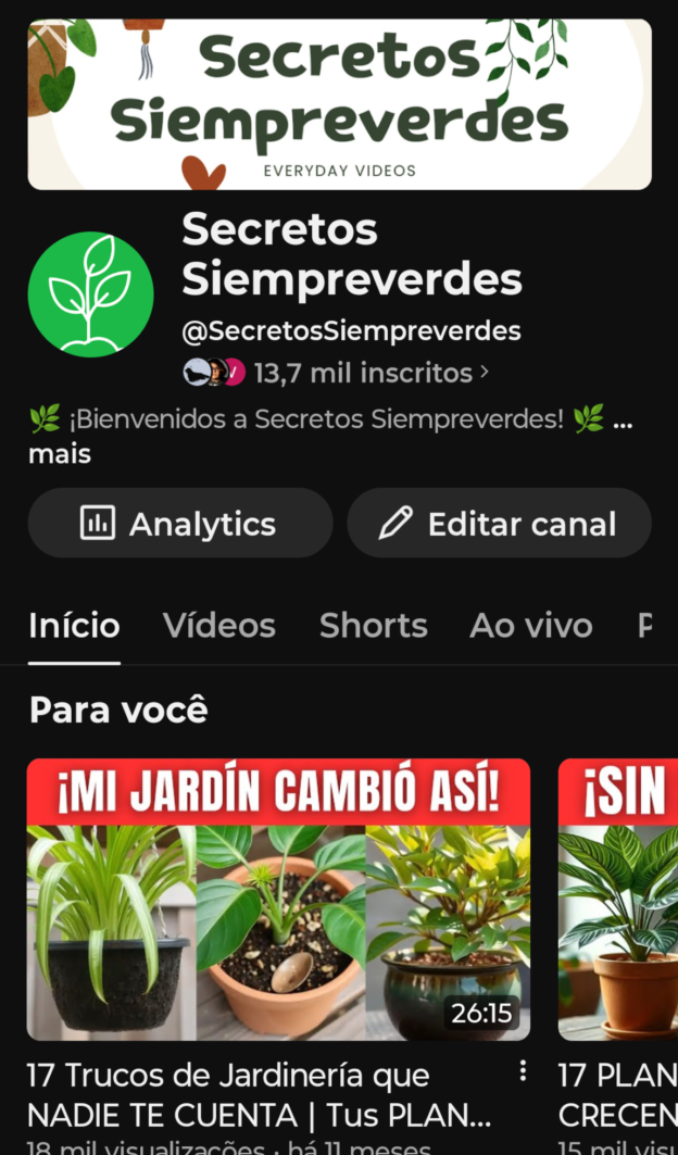 cropped-cropped-Screenshot_20260713-212511_YouTube-scaled-2.png 👑 CANAL COM +13K INSCRITOS À VENDA — OPORTUNIDADE 🔥 - Imagem 1