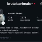 Instagram de 7k