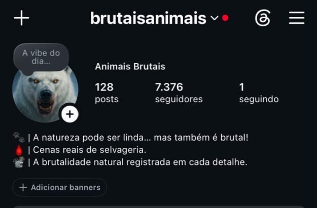 cropped-cropped-WhatsApp-Image-2026-07-28-at-14.27.19.jpeg Instagram de 7k - Imagem 1