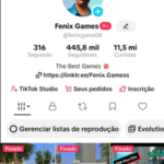 PERFIL DE GAMES MONETIZADO ( PUBLICO GRINGO )