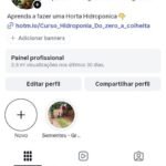 Instagram com SHOP ATIVO e 81 Mil Seguidores Reais