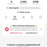 CONTA DO TIKTOK COM SHOP ATIVO +2K SEGUIDORES, LIVES ATIVAS (ENGAJAMENTO REAL)