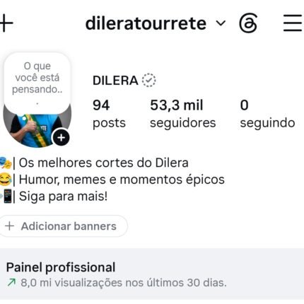 🚀CONTA DO INSTAGRAM ORGÂNICO (53.3 mil seguidores & 8 MILHÕES de viws em 30D)