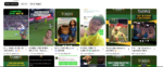 Canal de Futebol com 211 Mil Inscritos à Venda | Oportunidade Única - Imagem 2