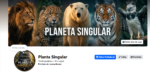 vendo um combo com 6 pagina monetizada - Imagem 5