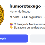 Instagram com mais de 7500 Seguidores
