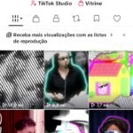 Tiktok edits de memes com 1 milhão e 200 mil seguidores