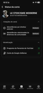 Canal monetizado francês alto rpm - Imagem 6